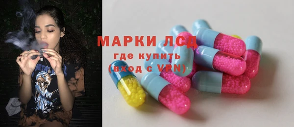 гидра Алексеевка