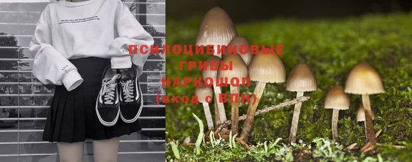 скорость Алзамай