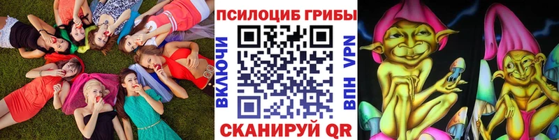 наркошоп  кракен ONION  Псилоцибиновые грибы Psilocybe  Мензелинск 